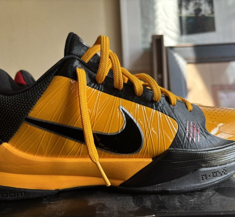 Kobe Protro