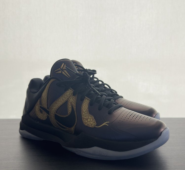 Kobe Protro Year Of The Mamba