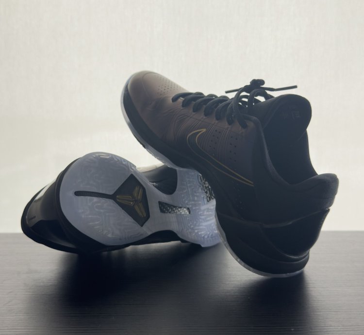 Kobe Protro Year Of The Mamba