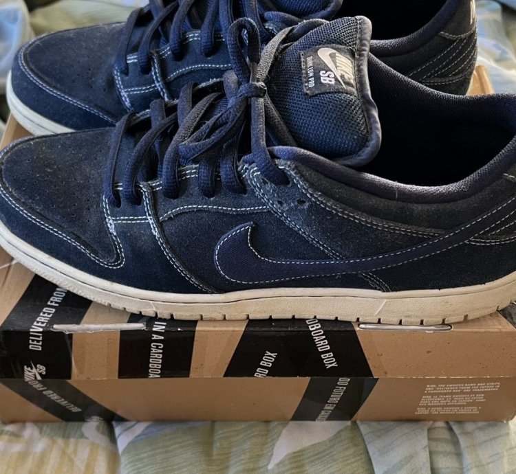 Nike Sb Pro Blueprint Size 12