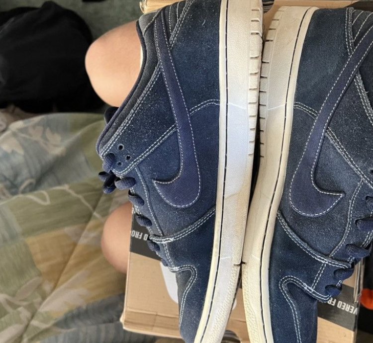 Nike Sb Pro Blueprint Size 12