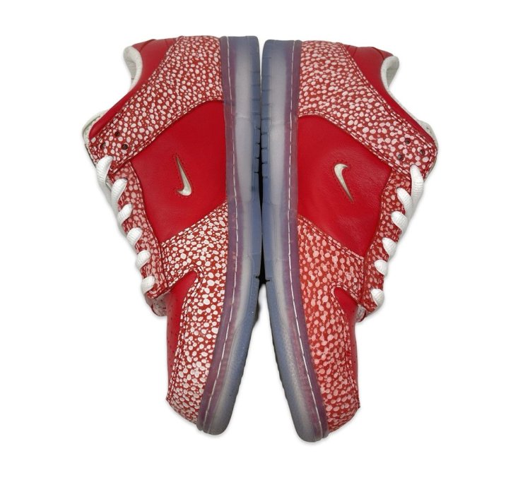 Nike Sb Stingwater Dunk Low