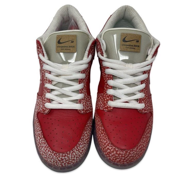 Nike Sb Stingwater Dunk Low