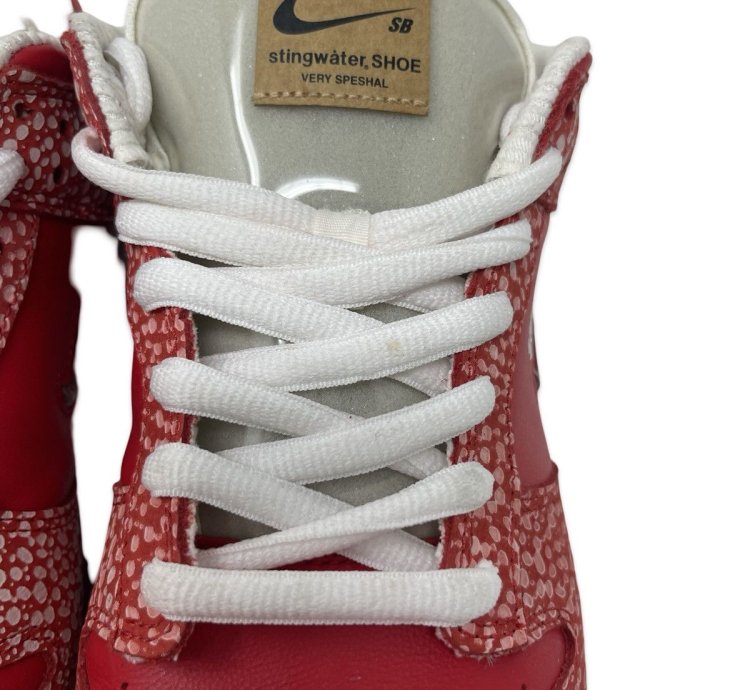 Nike Sb Stingwater Dunk Low