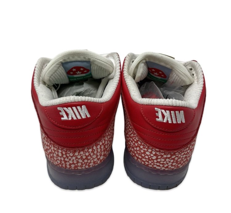 Nike Sb Stingwater Dunk Low