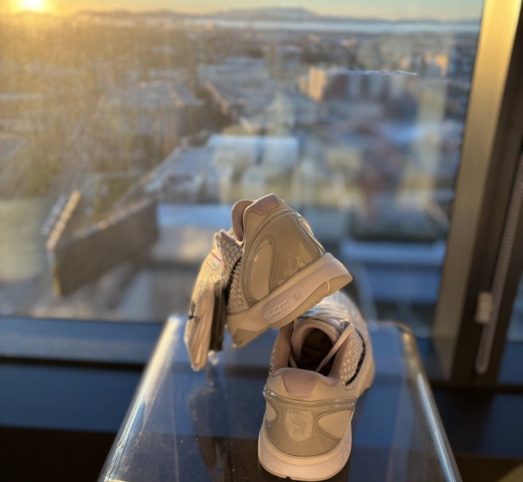 Kobe Vi Protro