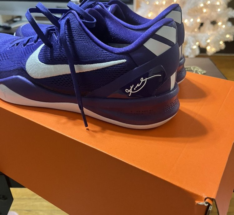 Kobe Vii Protro Tb