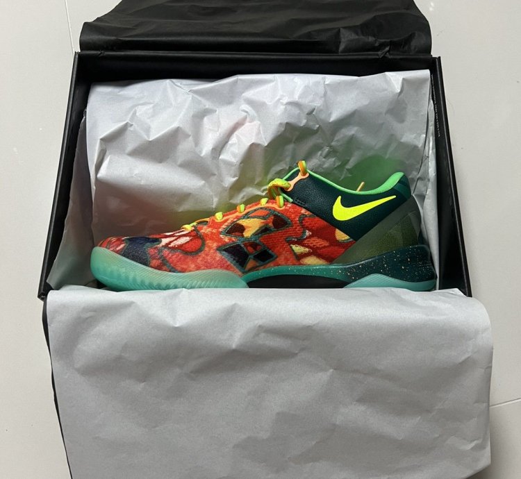 Kobe Viii Protro