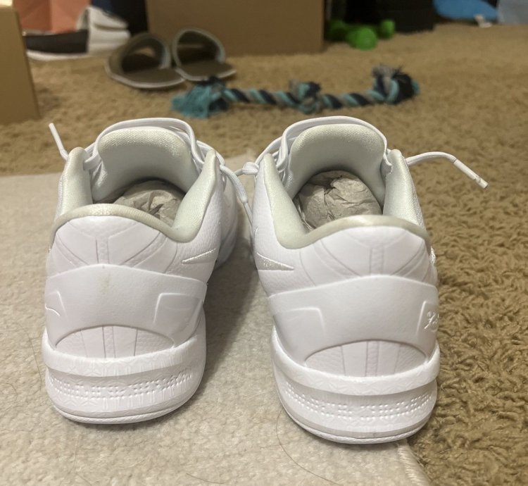 Kobe Viii Protro