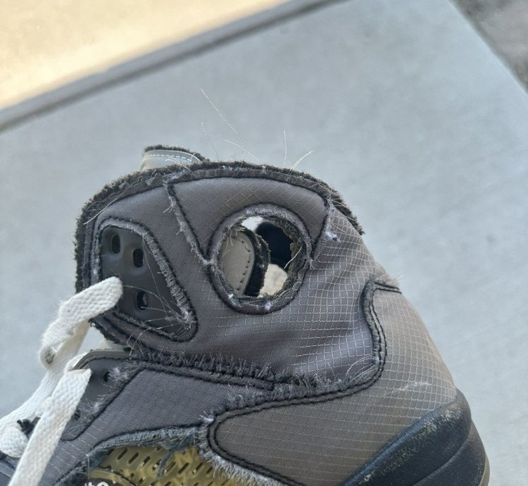 Off White Air Jordan 5