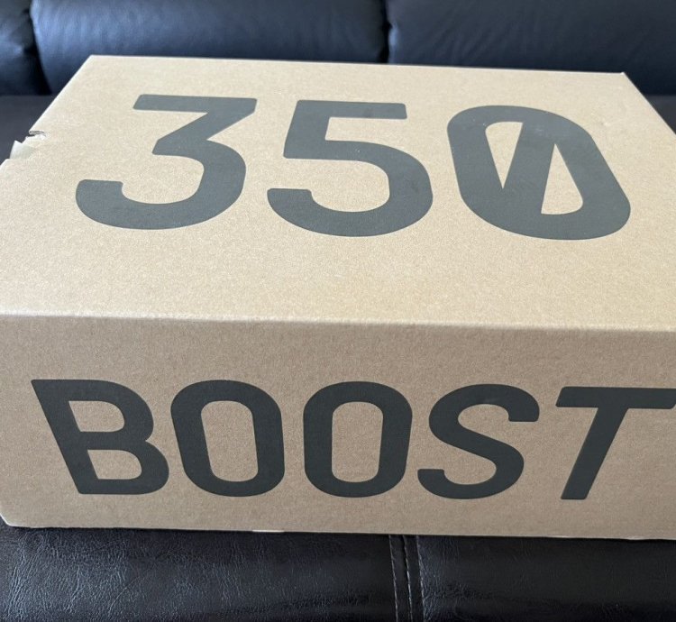 Adidas Yeezy 350 Boost V2 Mx Oat Sz 11
