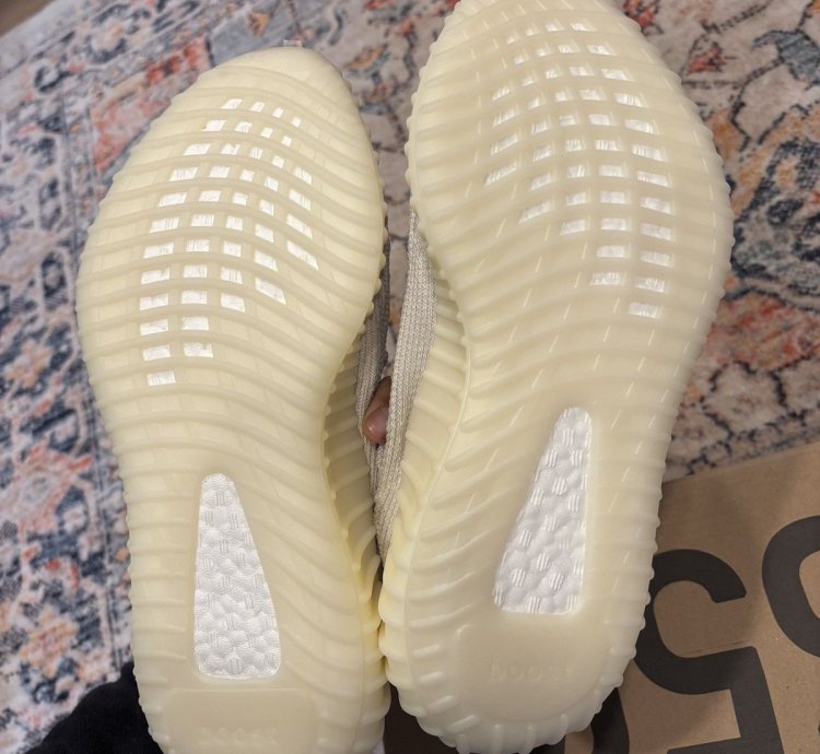 Adidas Yeezy 350 Cmpct Slate Bone