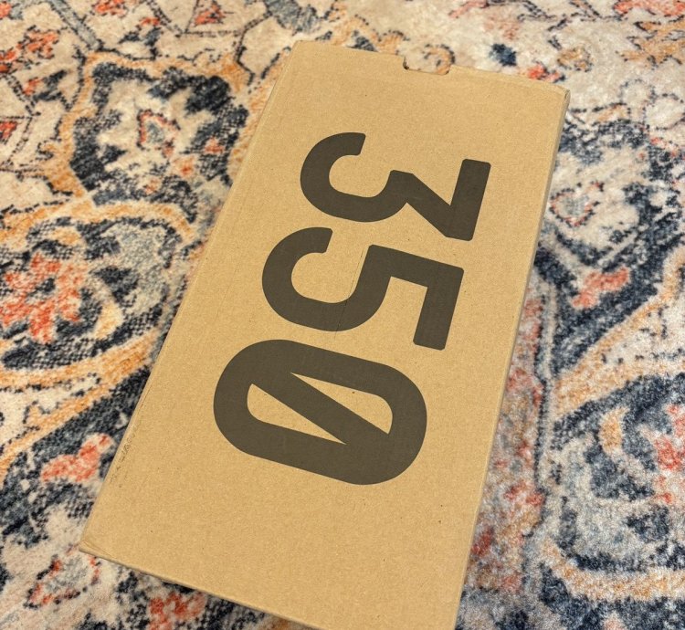 Adidas Yeezy 350 Cmpct Slate Bone