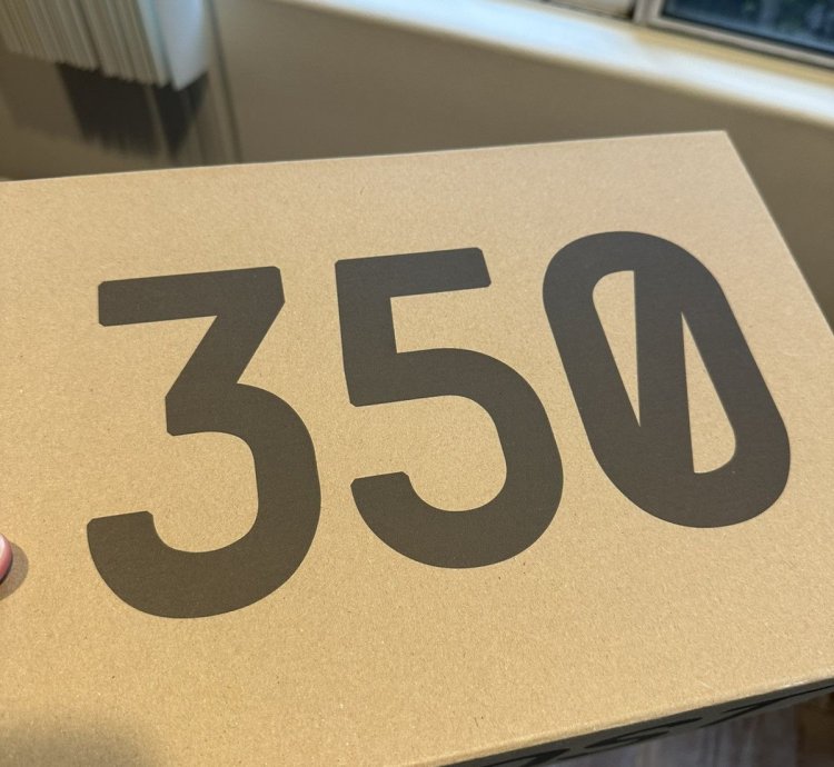 Adidas Yeezy 350 V2 Boost - Earth -