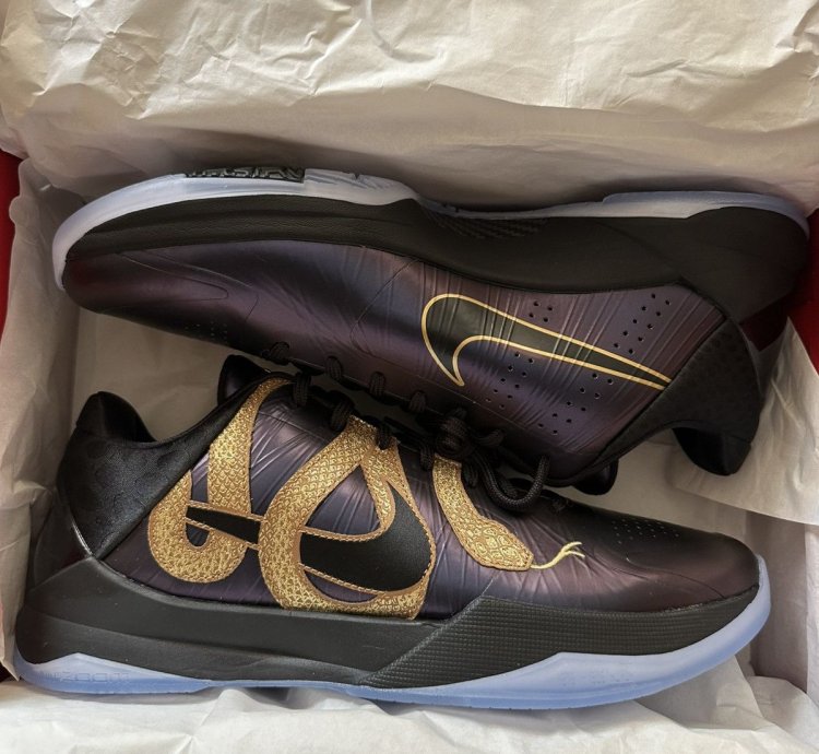 Nike Kobe 5 Proto Year Of The Mamba Eggplant