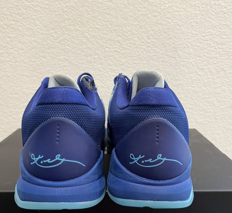 Nike Kobe 5 Protro -ray