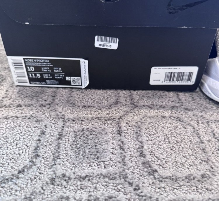 Nike Kobe 5 Protro Bruce Lee Alternate