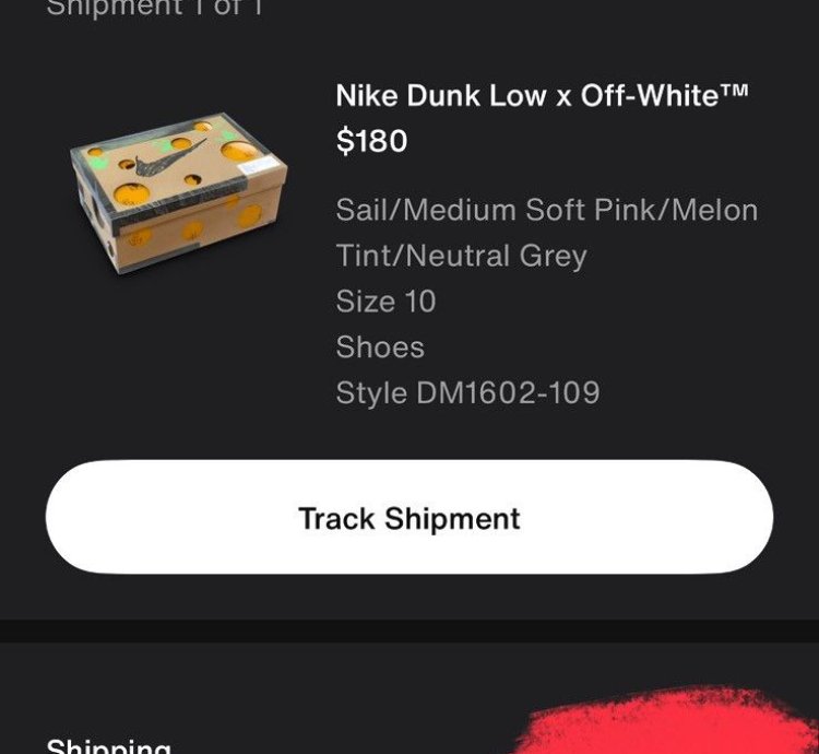 Off-white Nike Dunk Low - Lot 9
