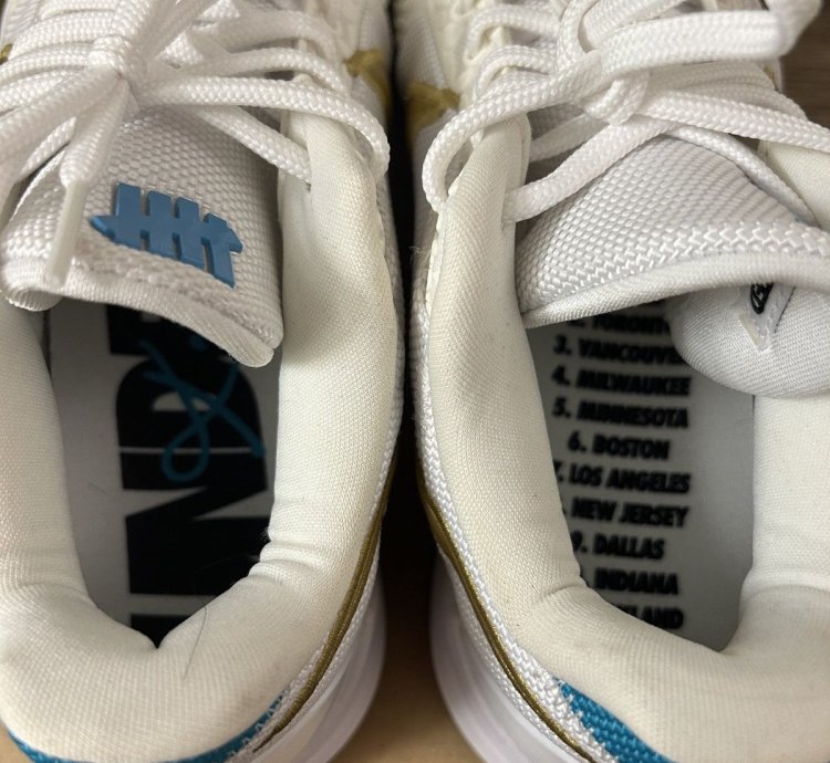 Nike Kobe 5 Protro Undefeated What If White Size Us 10