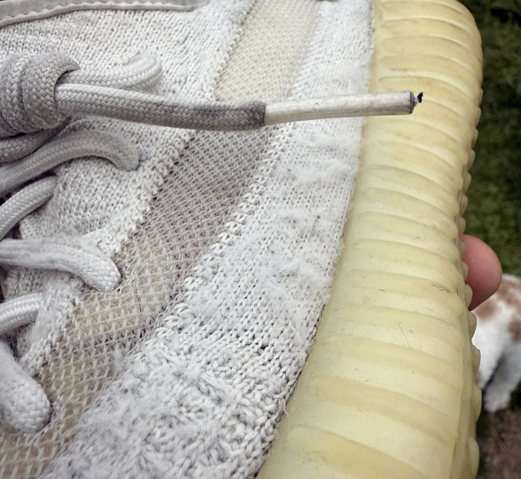 Adidas Yeezy Boost 350 V2 Bone Size 5 Men 6 Women