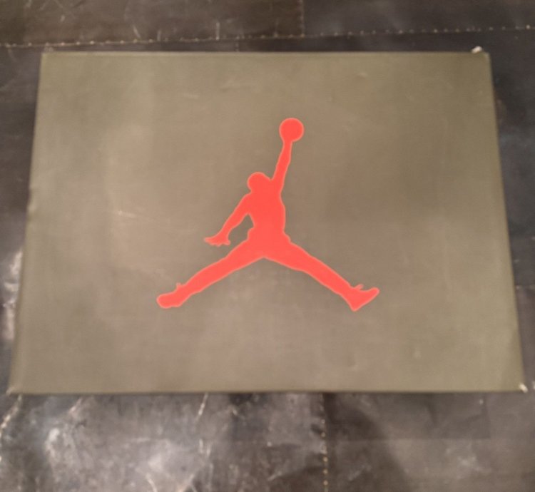 Olive Travis Scott Nike Jordan 6