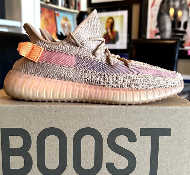 Adidas Yeezy Boost 350 V2 Clay Size 9 5 Eg7490