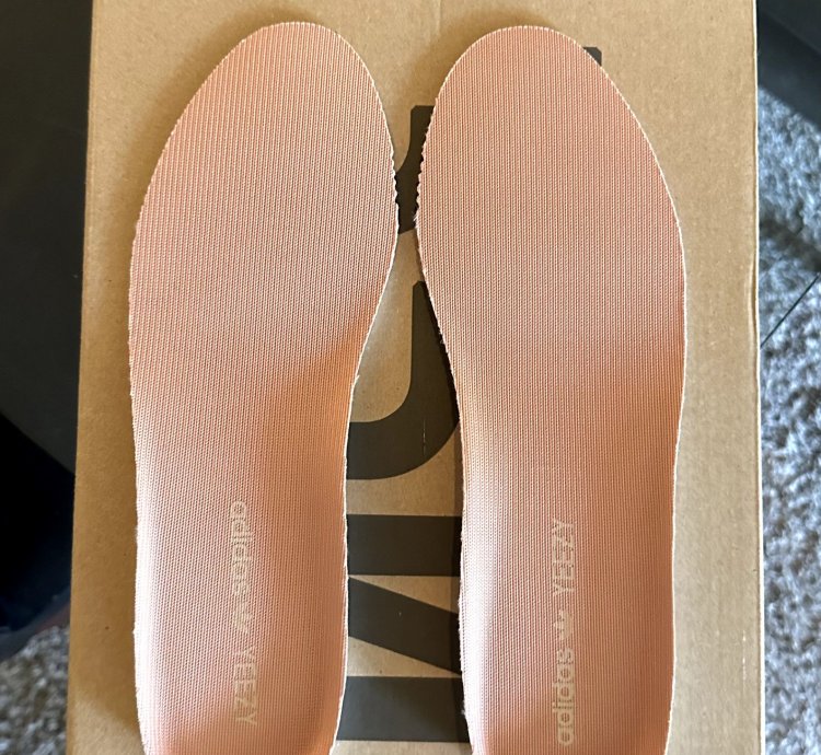 Adidas Yeezy Boost 350 V2 Clay Size 9 5 Eg7490