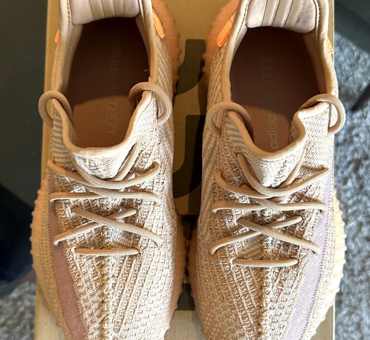 Adidas Yeezy Boost 350 V2 Clay Size 9 5 Eg7490