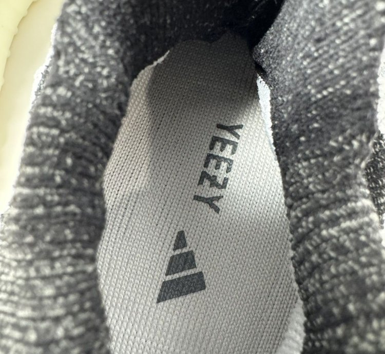 Adidas Yeezy Boost 350 V2 Cmpct Panda