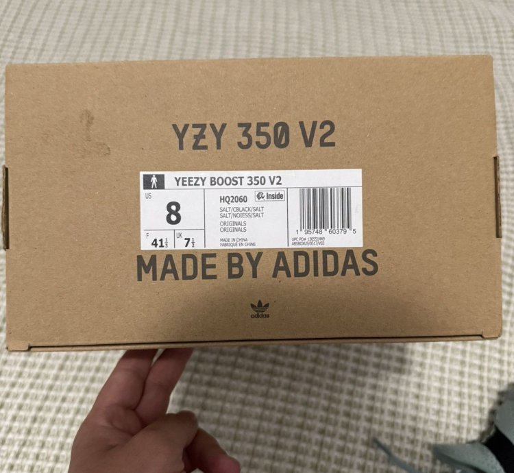 Adidas Yeezy Boost 350 V2 Salt