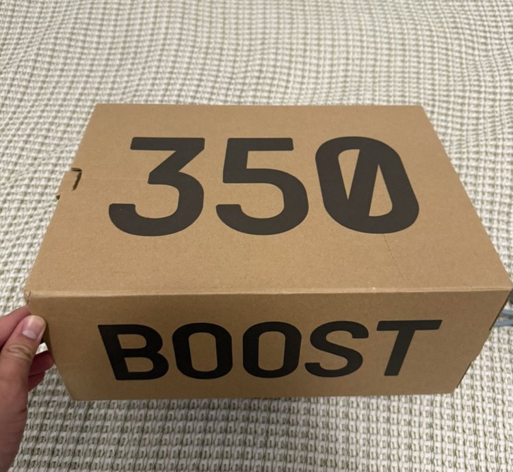 Adidas Yeezy Boost 350 V2 Salt