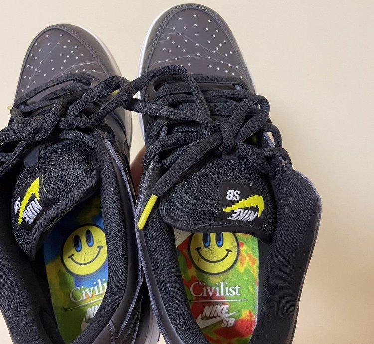 Rare Nike Dunk Civilist