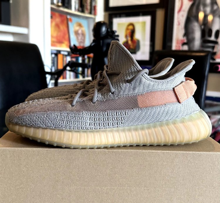 Adidas Yeezy Boost 350 V2 True Form Trfrm 9 5 Eg7492