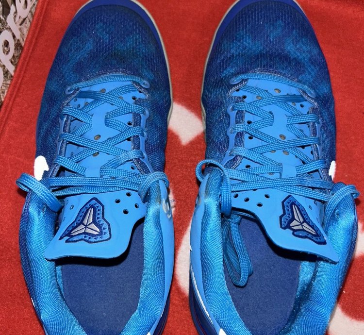 Nike Kobe 8 Blue Coral Snake Gs 555586-400 Size 5 5y