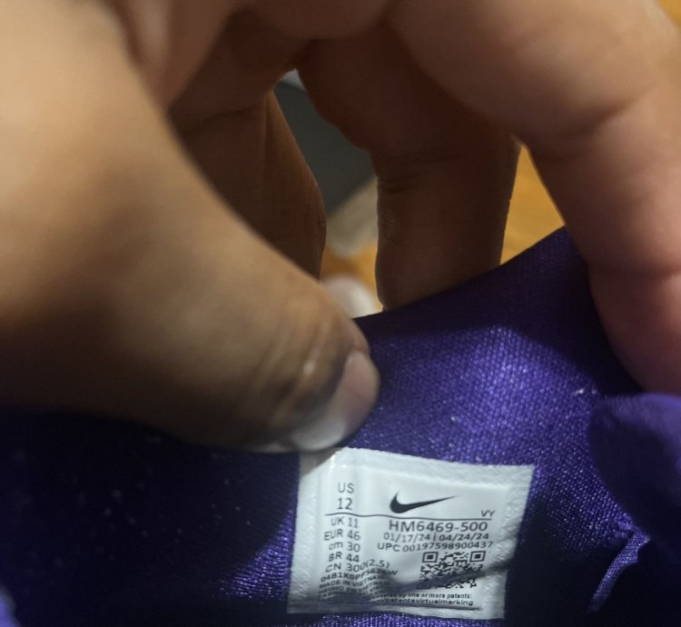 Nike Kobe 8 Proto Tb Purple Low Top