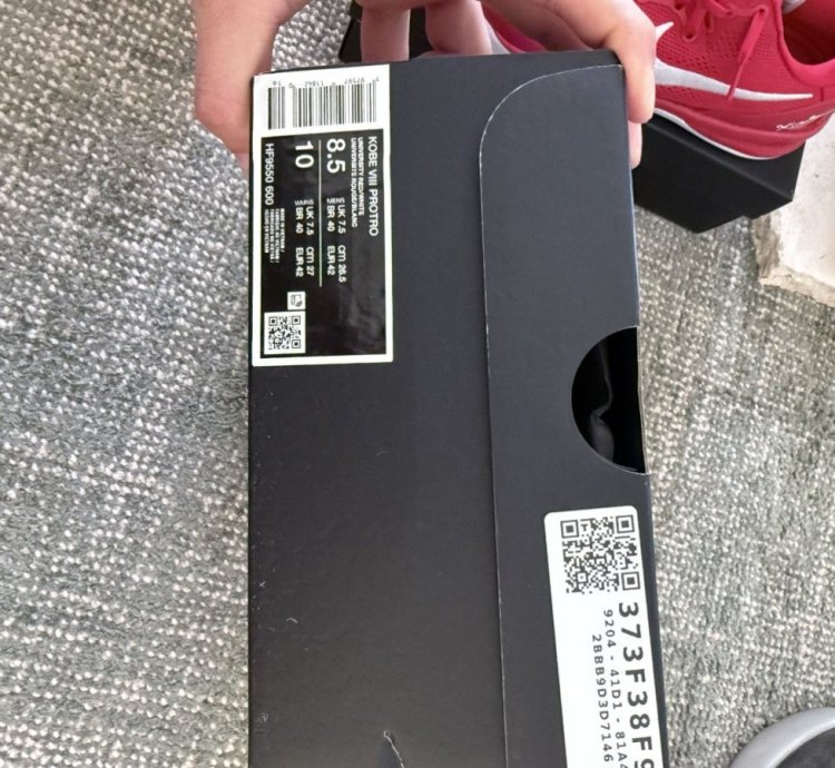 Nike Kobe 8 Protro University Red