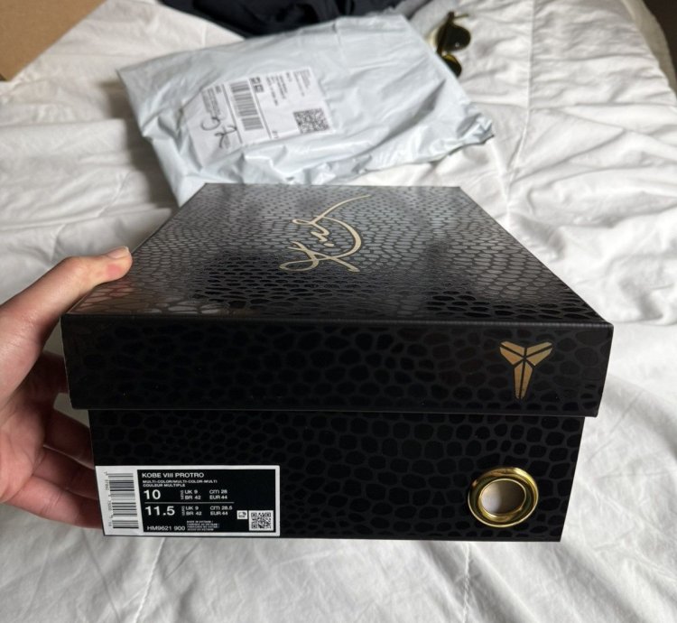 Nike Kobe 8 Protro What The