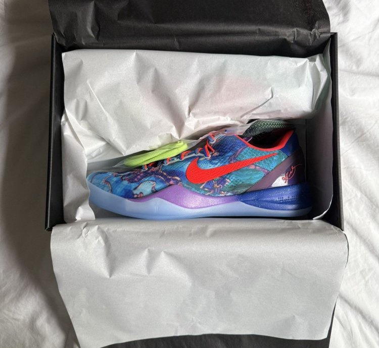 Nike Kobe 8 Protro What The