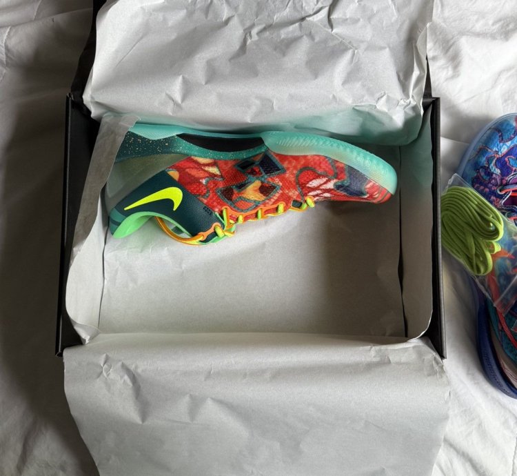 Nike Kobe 8 Protro What The