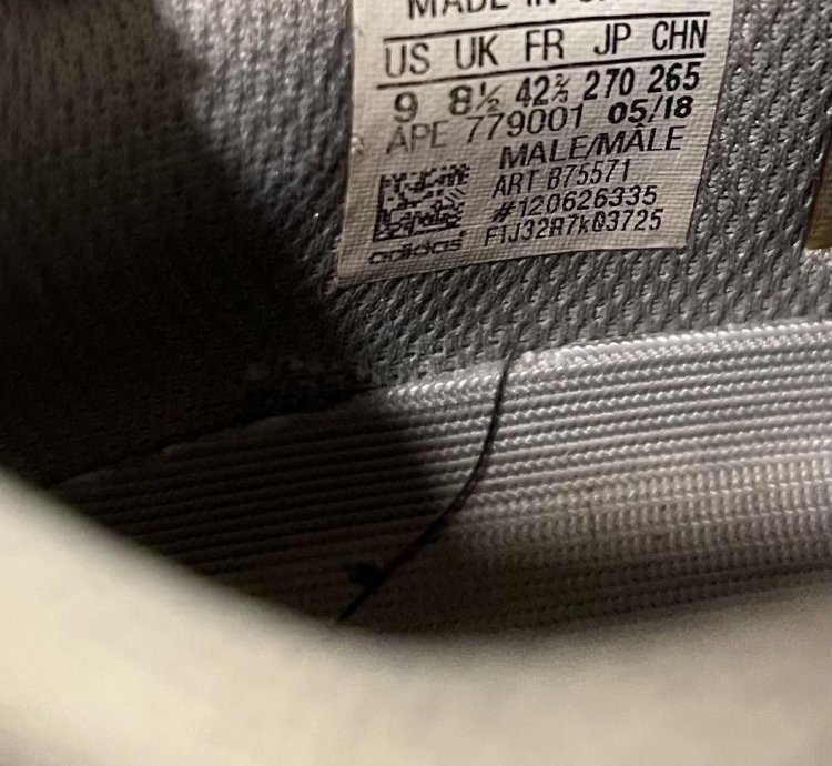 Adidas Yeezy Boost 700 Wave Runner