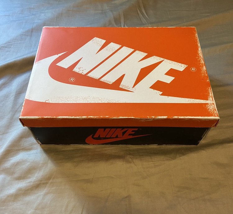 Size 10 Air Jordan 1 High Lost Found