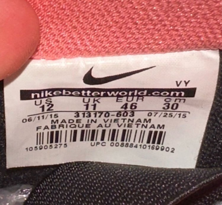 Size 12 - Nike Sb Dunk Low Pro Premier Fish Ladder 2015