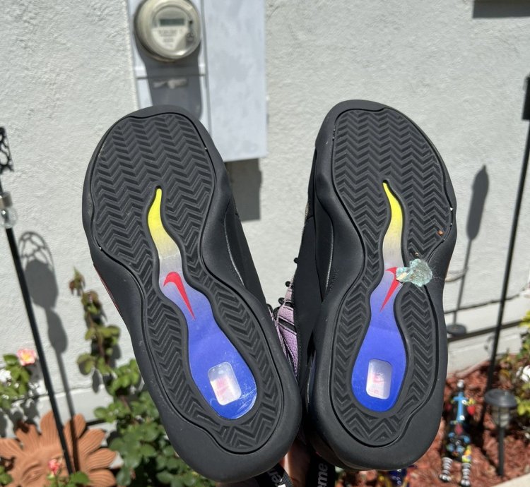 Supreme Nike Air Bakin Sp