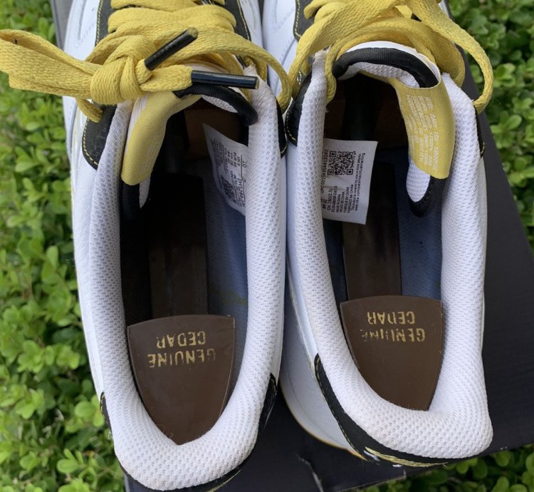 Af-1 07 Lv White Photon Dust-saturn Gold
