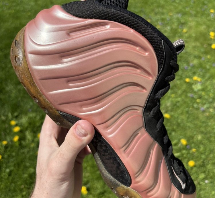 Air Foamposite One Elemental Rose 2018 Size 11