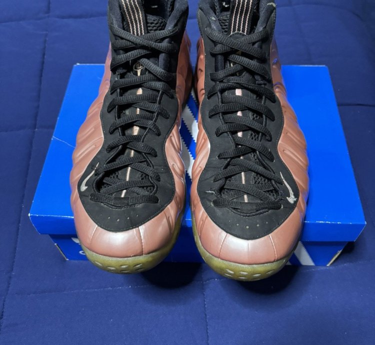Air Foamposite One Elemental Rose 2018 Size 11