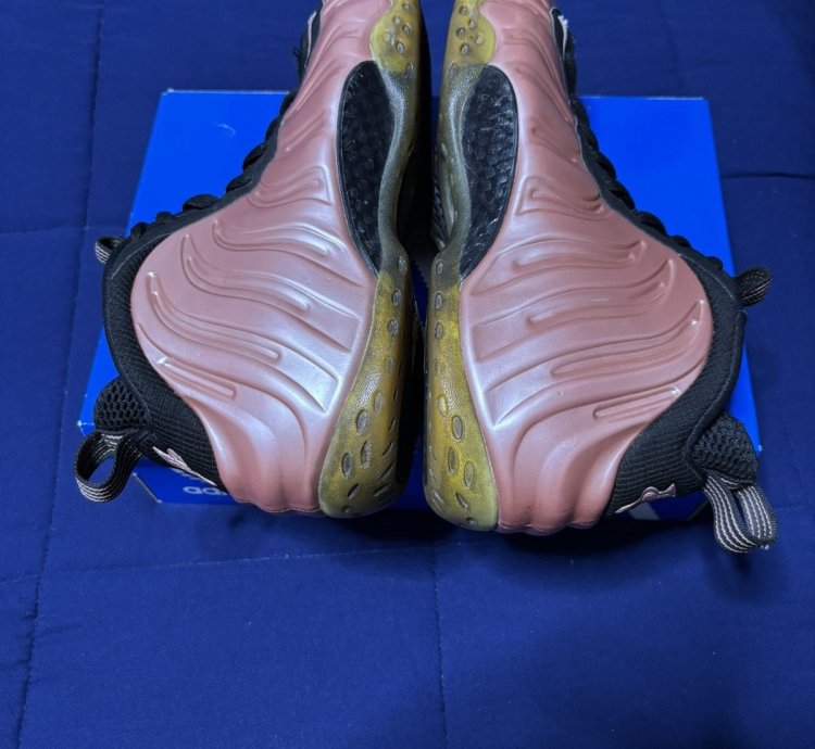 Air Foamposite One Elemental Rose 2018 Size 11