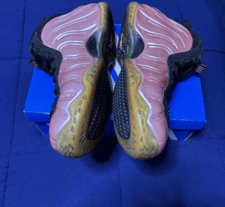 Air Foamposite One Elemental Rose 2018 Size 11