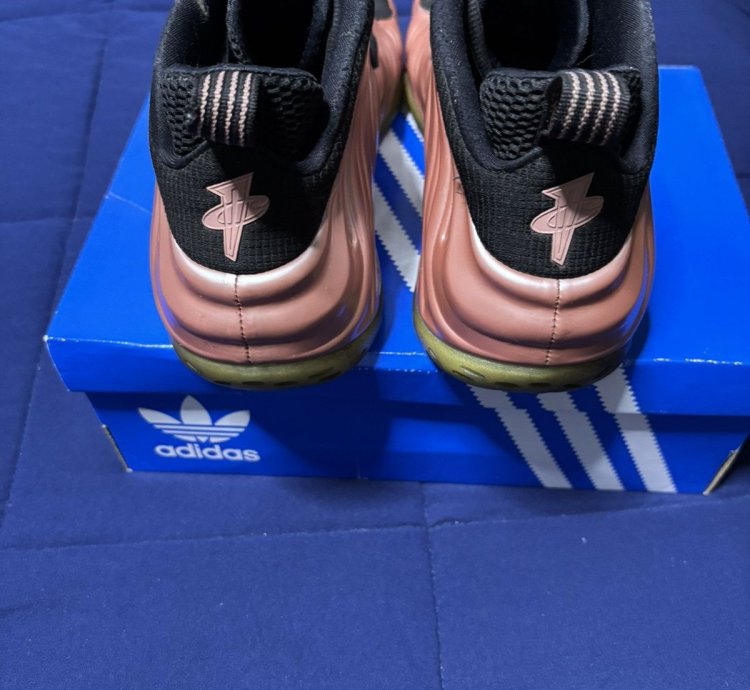 Air Foamposite One Elemental Rose 2018 Size 11