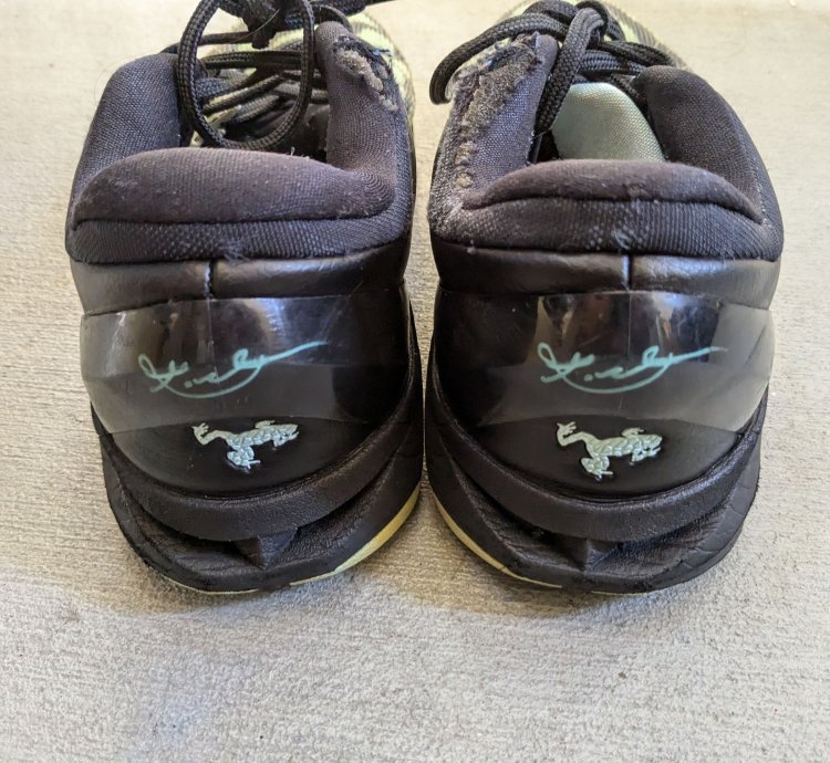 Nike Kobe Vii 7 Men 10 5 Poison Dart Frog 488371-300